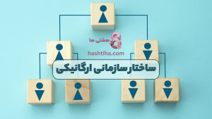 ساختار سازمانی ارگانیکی