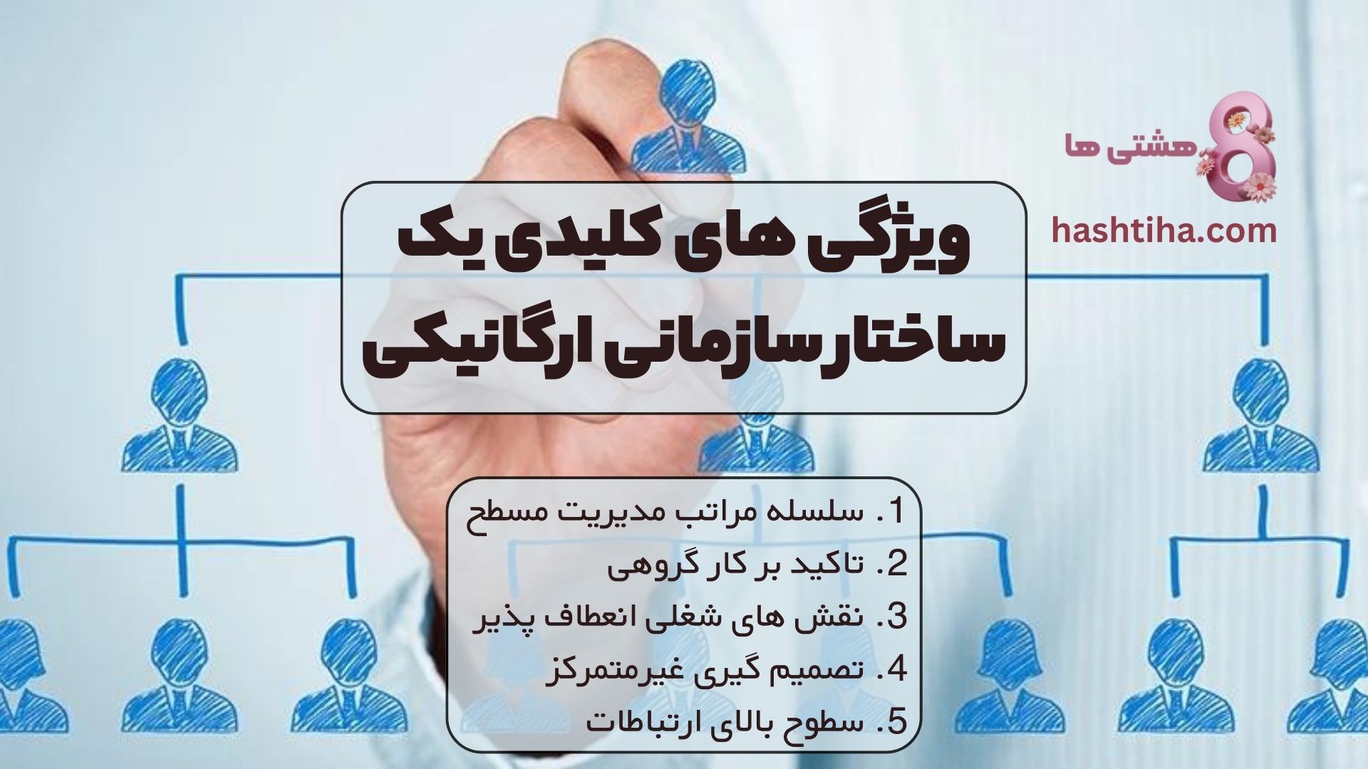 ویژگی های کلیدی یک ساختار سازمانی ارگانیکی