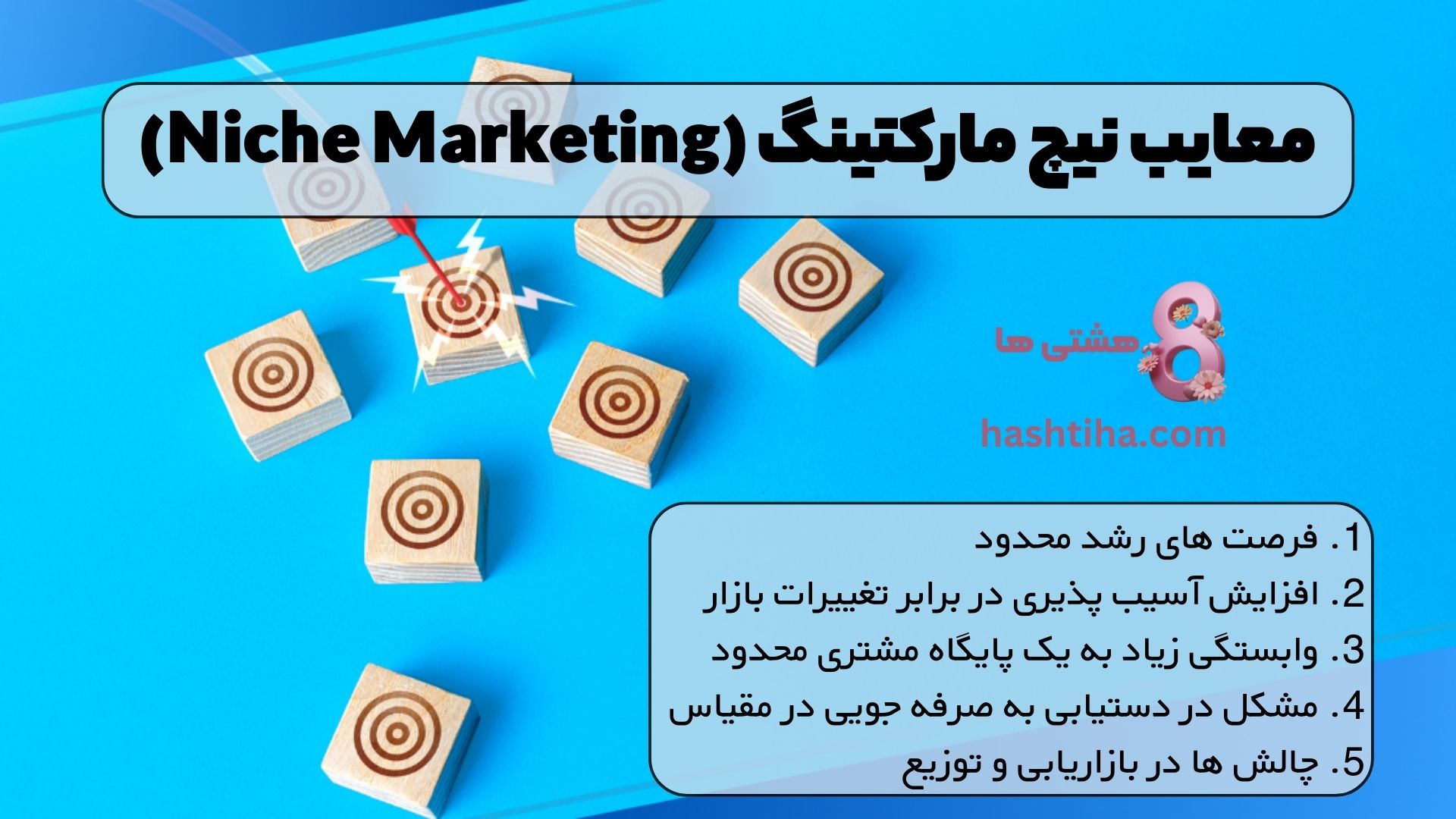 معایب نیچ مارکتینگ (Niche Marketing)