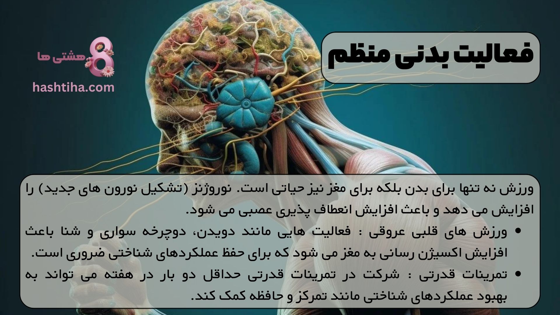فعالیت بدنی منظم
