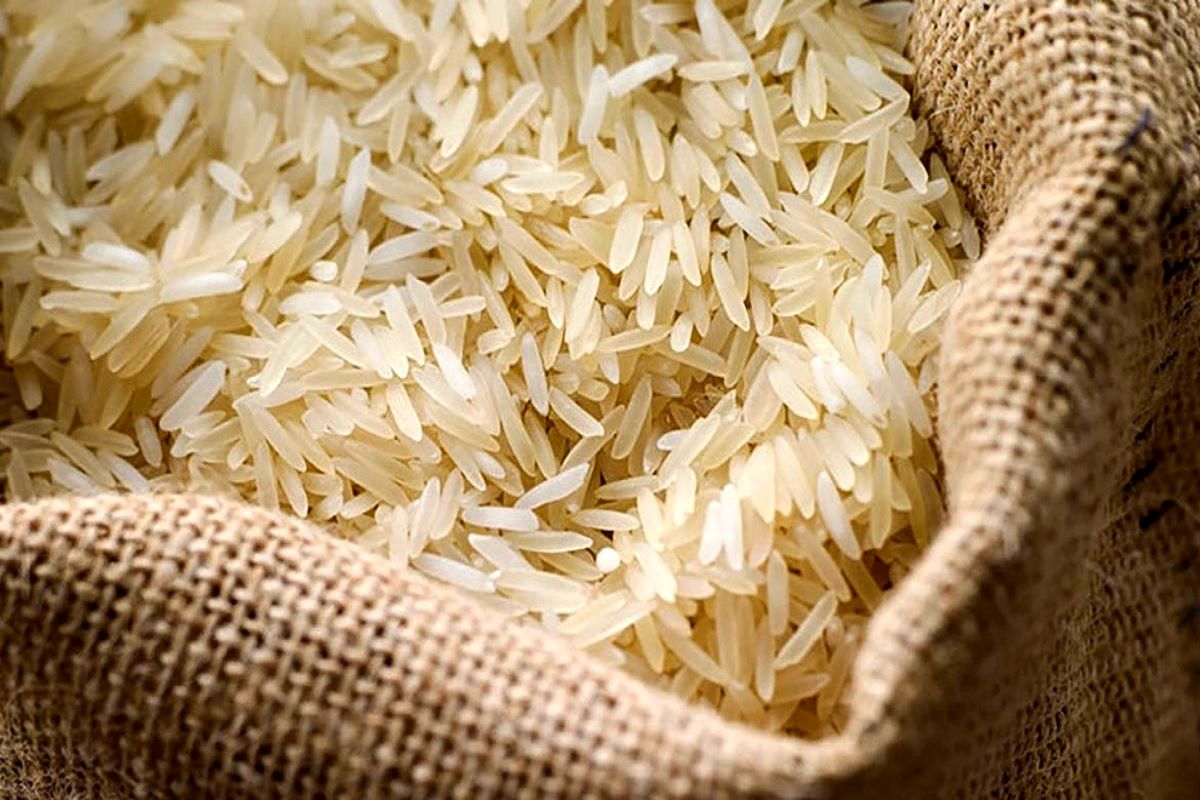 وزیر جهاد کشاورزی خیال همه را بابت قیمت برنج ایرانی راحت کرد