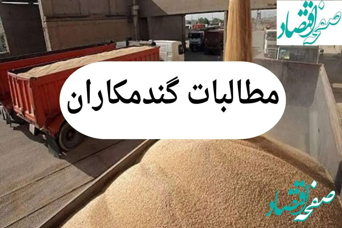 پرداخت فوری مطالبات گندمکاران در دستور کار دولت