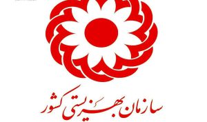 حق پرستاری معلولین شدید چقدر شد؟ / اعلام رسمی زمان واریز از سوی بهزیستی / مبلغ تازه پرداختی شگفتی‌ساز شد